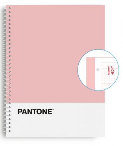 BLOC ESCOL.PANTONE A4 BASIC 80h 5x5 RS