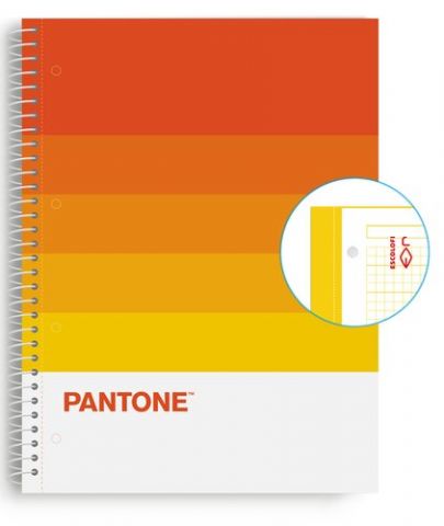 BLOC ESCOL.PANTONE A4 SPEAKS 80h 5x5 WR