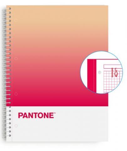 BLOC ESCOL.PANTONE A4 TOGET. 80h 5x5 RP