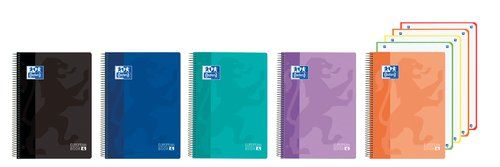 BLOC OXFORD SCHOOL EU.BOOK 4 CLASSIC micro.tapa PP