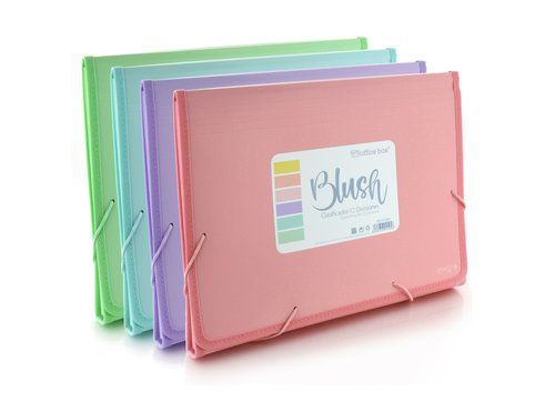 CLASIFICADOR ACORDEON OFFICE BOX PP A4+ BLUSH 12 D