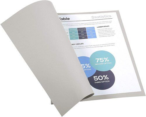 SUBCARPETA EXACOMPTA FOREVER 250 220g A4 GRIS PAQU