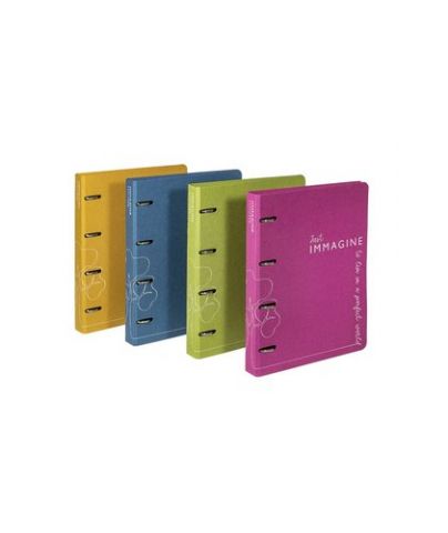 CARPETA de ANILLAS CARCHIVO IMMAGINE CARTON RECICL