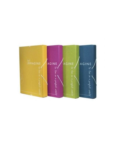 CARPETA de PROYECTOS CARCHIVO IMMAGINE CARTON RECI