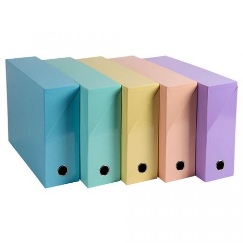 CAJA de TRANSFERENCIAS EXACOMPTA AQUAREL CARTON FO