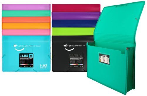 CARPETA de GOMAS y SOLAPAS GRAFOPLAS PP LIKE 2 MAX