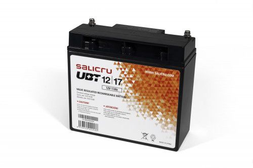 Salicru UBT 12/17 - Batería AGM recargable de 17 A