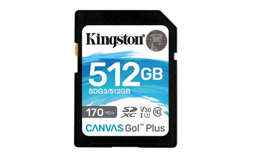 Kingston Technology Canvas Go! Plus memoria flash