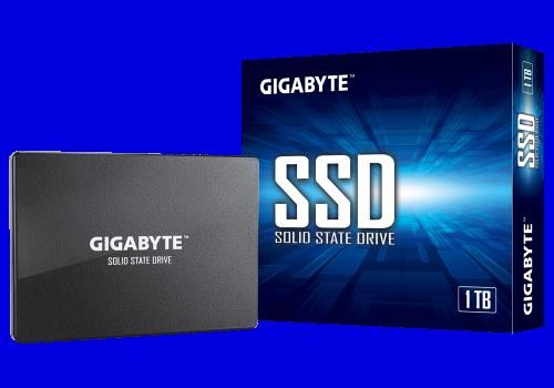 Gigabyte GP-GSTFS31100TNTD unidad de estado sólido