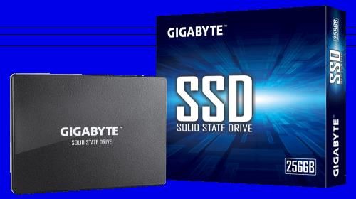 Gigabyte GP-GSTFS31256GTND unidad de estado sólido
