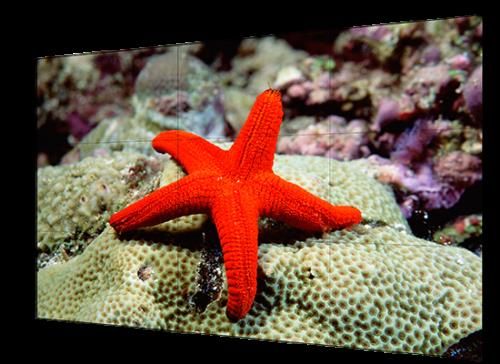 Hikvision Digital Technology DS-D2055HR-G pantalla