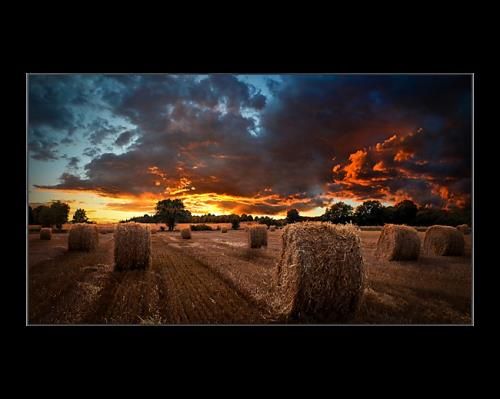 Samsung VM55B-U Interior