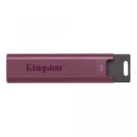 Kingston Technology DataTraveler Max unidad flash