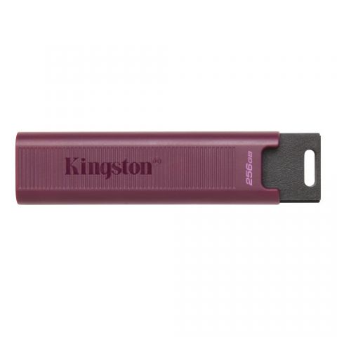 Kingston Technology DataTraveler Max unidad flash