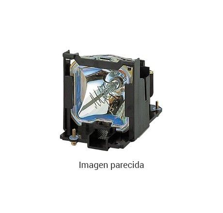 BENQ PROYECTOR ACCESORIOS  (5J.JNL05.001) LAMP MOD
