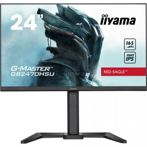 MONITOR IIYAMA 24