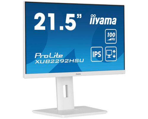 MONITOR IIYAMA 21.5
