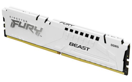 Kingston Technology FURY Beast módulo de memoria 1