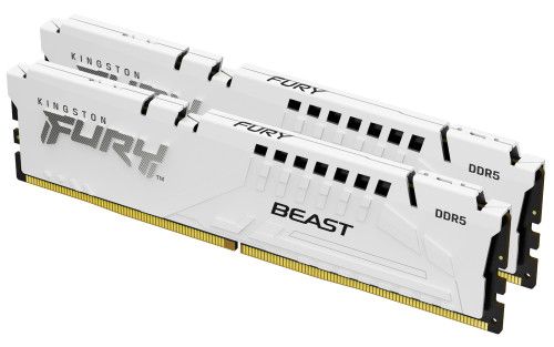 Kingston Technology FURY Beast módulo de memoria 6