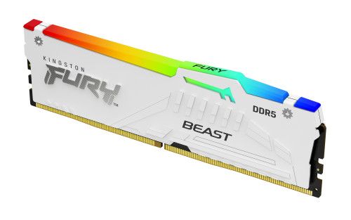 Kingston Technology FURY Beast RGB módulo de memor