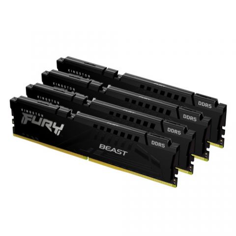 Kingston Technology FURY Beast módulo de memoria 1