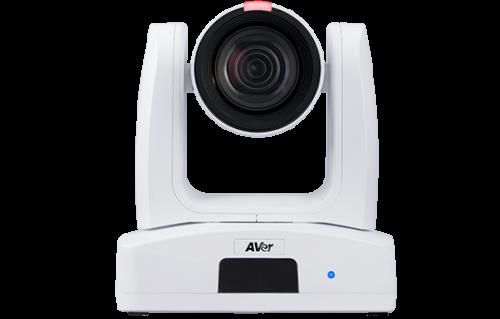 AVer PTZ211 2 MP Blanco 1920 x 1080 Pixeles 60 pps
