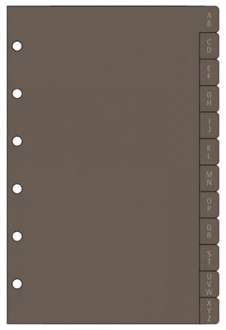 RECAMBIO AGENDA FINOCAM C361 CLASSIC 603 79x127 IN