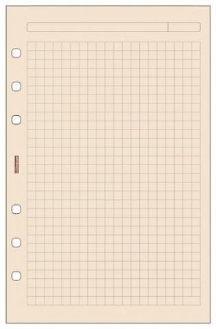 RECAMBIO AGENDA FINOCAM R544 OPEN 500 CUADRICULA C