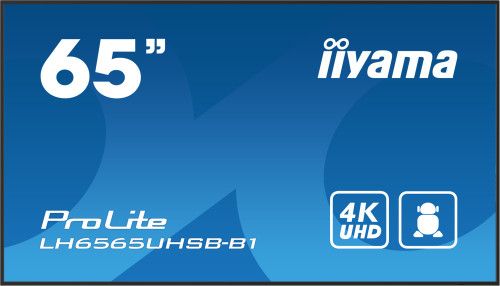 MONITOR IIYAMA 65