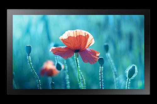Samsung QB13R-TM Panel plano interactivo 33 cm (13