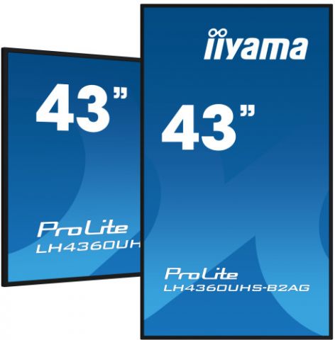 MONITOR IIYAMA 43