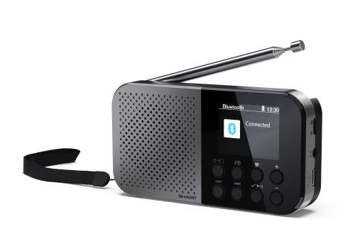 Sharp DR-P520 Personal Digital Gris