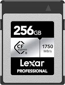 LEXAR 256GB PROFESSIONAL CFEXPRESS TYPE B CARD SIL