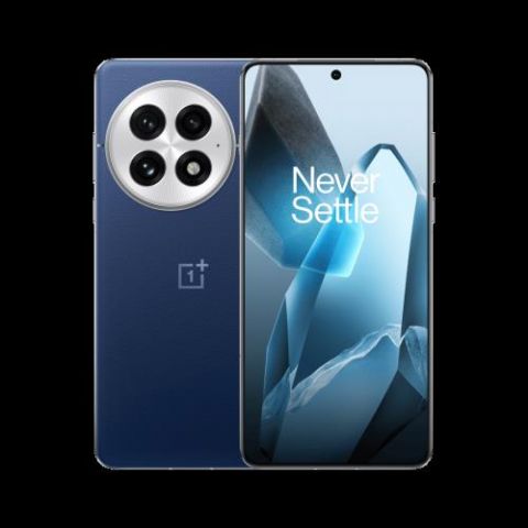OnePlus 13 17,3 cm (6.82