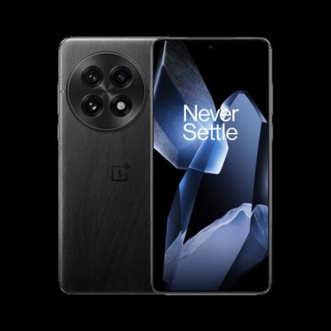 OnePlus 13 5G 12GB/256GB, black (EU) 17,3 cm (6.82