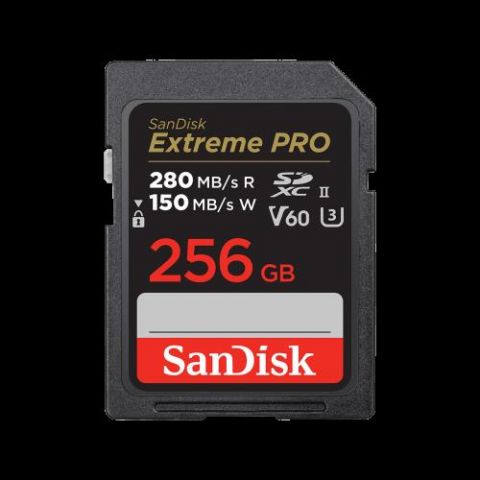 SanDisk SDSDXEP-256G-GN4IN memoria flash 256 GB SD