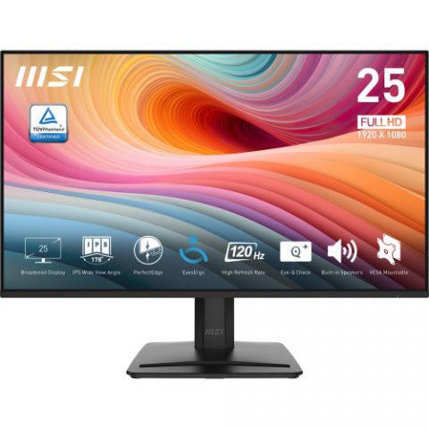 MSI PRO MP251 E2 pantalla para PC 62,2 cm (24.5