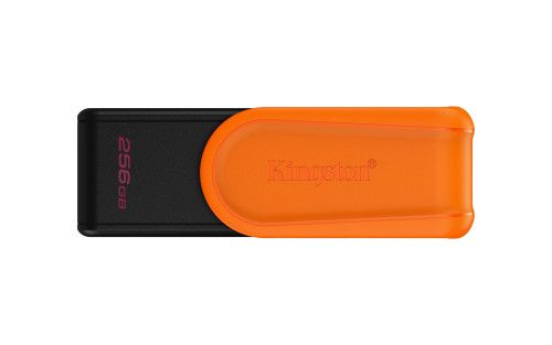 Kingston Technology DataTraveler 256GB Portable US