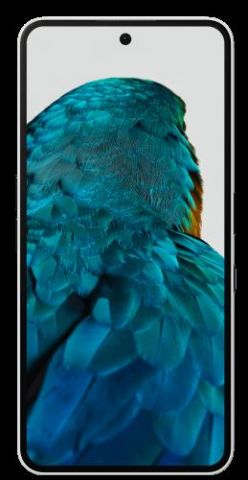 Nothing Phone (3a) Pro 17,2 cm (6.77