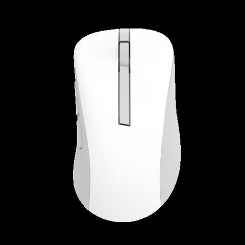ASUS Wireless Mouse MD102 ratón Universal mano der