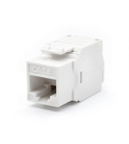 WP WPC-KEY-6UP-TL/W conector RJ45 Blanco