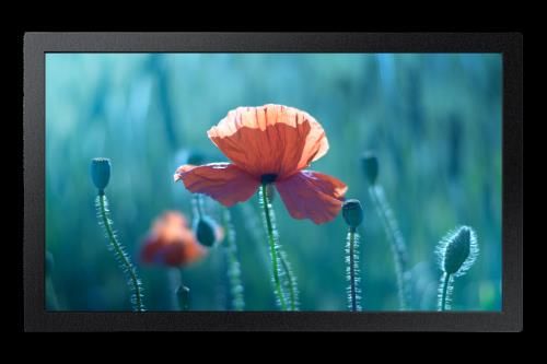 Samsung QB13C 33 cm (13