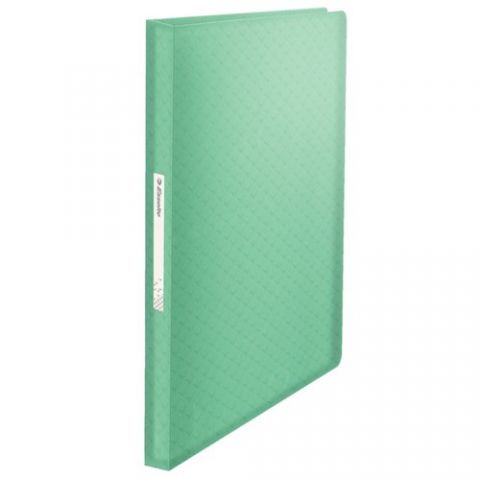 CARPETA FUNDAS (TARIFARIO) ESSELTE COLOUR BREEZE P