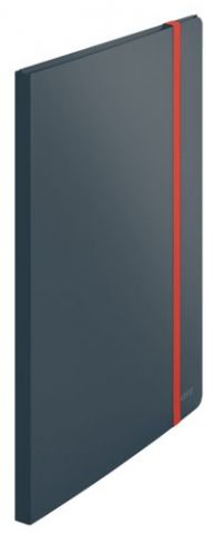 CARPETA FUNDAS (TARIFARIO) LEITZ COSY PLUS PP FLEX