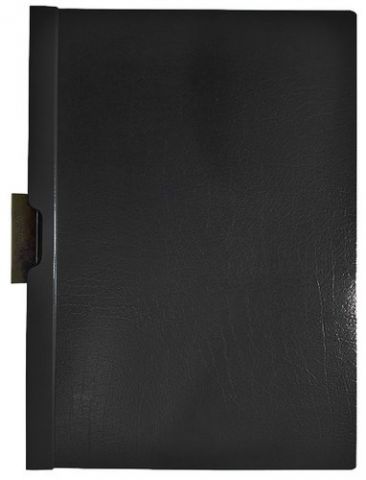 DOSIER CLIP ESSELTE PVC CLIP FILE A4 pinza METAL 3