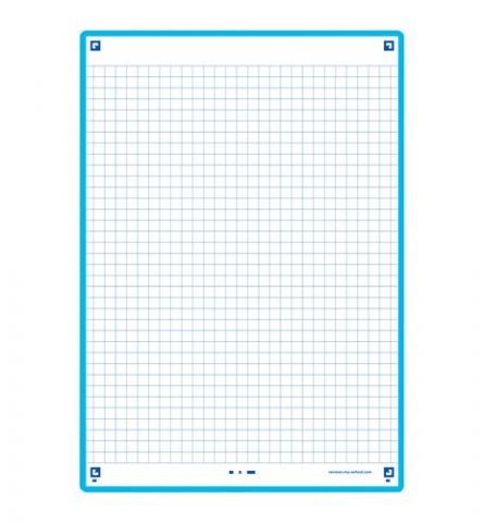 FICHAS OXFORD REVISION 2.0 COLOR CUADRIC.5x5 210x1