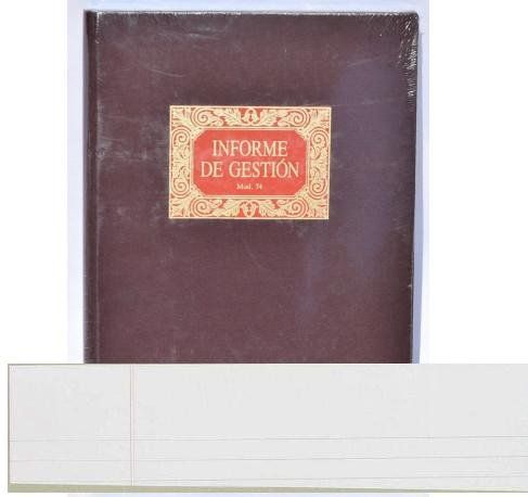 LIBRO CONTABILIDAD Fº-74-INFORME DE GESTION