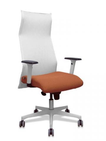 SILLON PIQUERAS Y CRESPO SAHUCO DIRECCION USO INTE