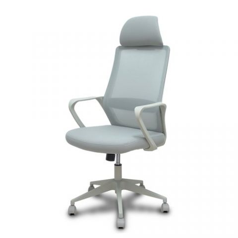 SILLA PIQUERAS Y CRESPO FOROL PRO 534 BRAZOS FIJOS