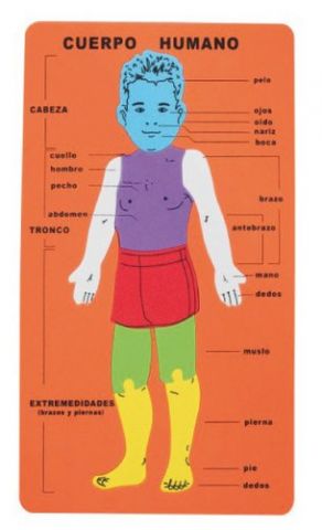 GOMA EVA FIXO KIDS PUZLE 20x32 cm. CUERPO HUMANO